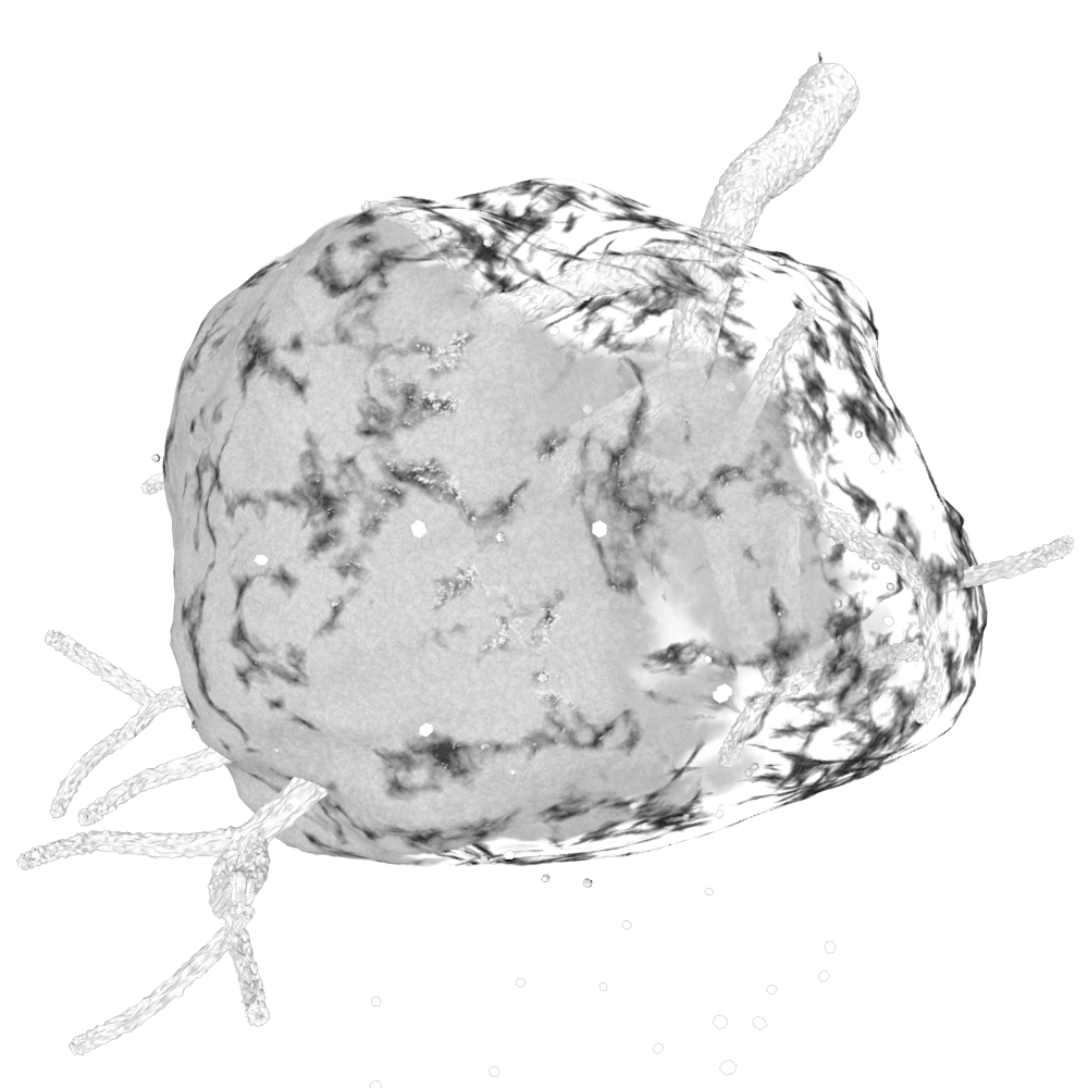 abbildung_speed_sw_safer_nighlife_de