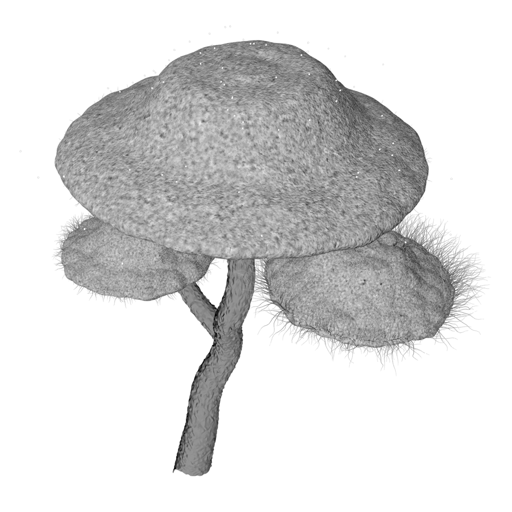 abbildung_psilocybe_sw_safer_nighlife_de 