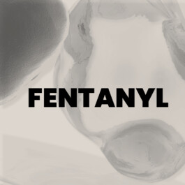 SONAR BERLIN